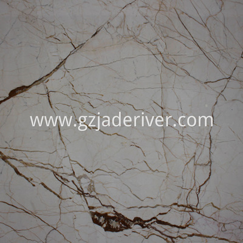 Noble Gold Marble